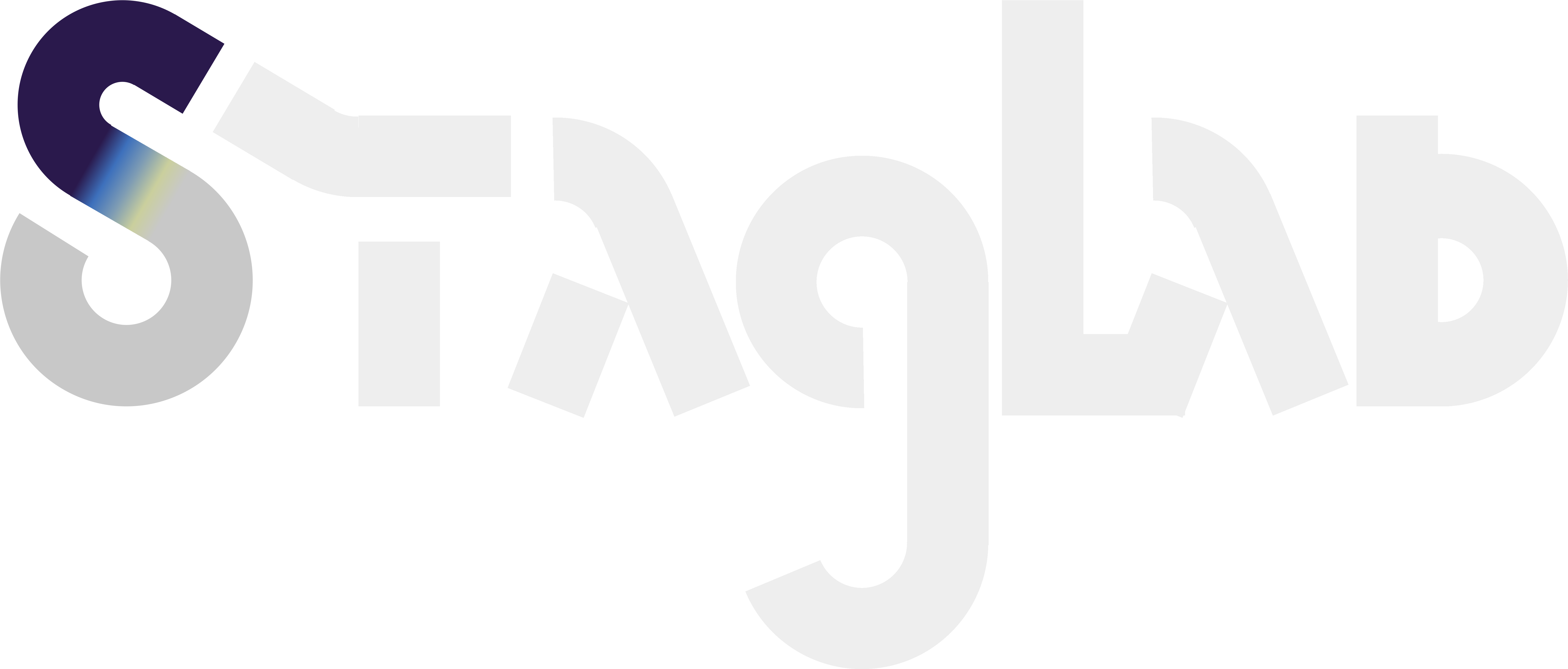 Geodynamics post-processing community effort StagLab logo