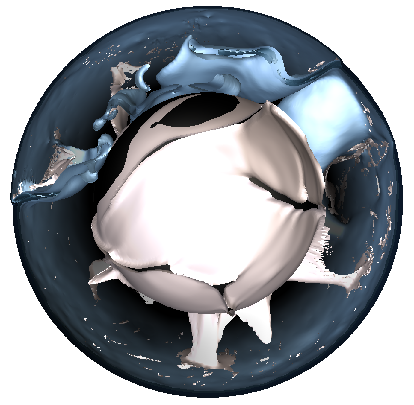 Whole-mantle convection model